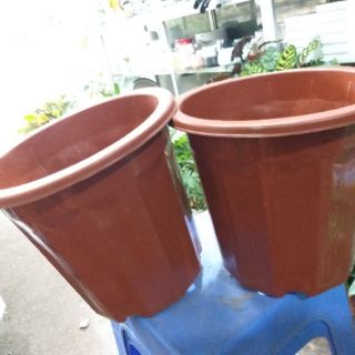 10 chậu trồng cây E300 - Chậu bền đẹp