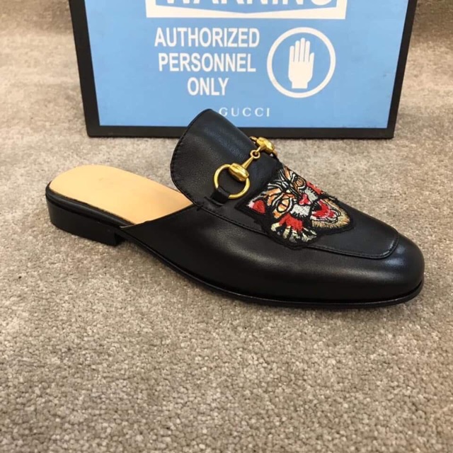 sục mèo hổ nót vàng nam | BigBuy360 - bigbuy360.vn