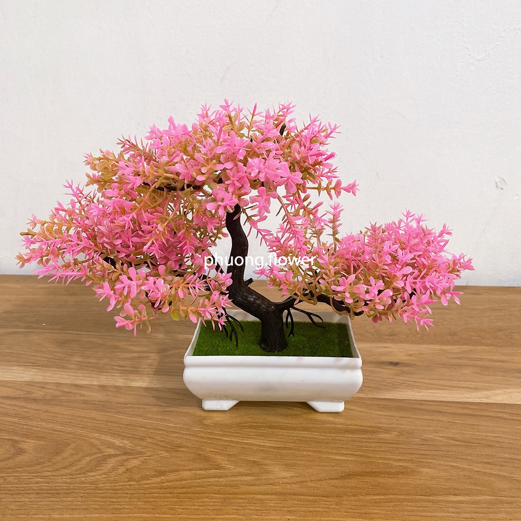 Chậu cây thông bonsai giả nhựa 3 tán kèm chậu trang trí nội thất để bàn cực đẹp kích cỡ 25cm x 18cm