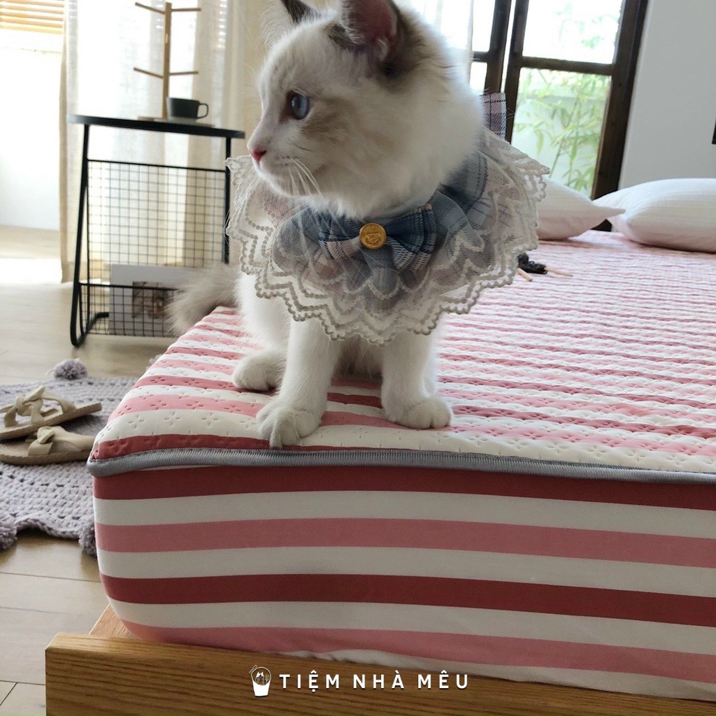 GA CHỐNG THẤM TRẦN BÔNG Muji Xơ Đậu Nành✨m6/m8/2m Mêu✨Ga Chống Thấm Nước Kháng Khuẩn 100% Cao Cấp Nhập Khẩu