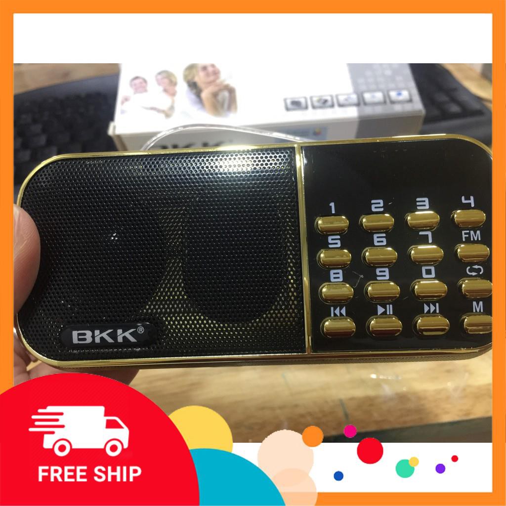 Loa nghe nhạc thẻ nhớ, usb, đài FM BKK B835