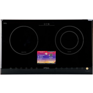 Bếp Điện Từ Goldsun GYL999