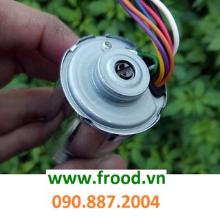 Động cơ từ Brushless phát điện 3 pha 25w
