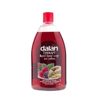 Nước Rửa Tay Tạo Bọt Từ Củ Gừng & Trái Cây Dalan Red Fruits và Ginger, xà bông củ gừng 400ml và 750ml