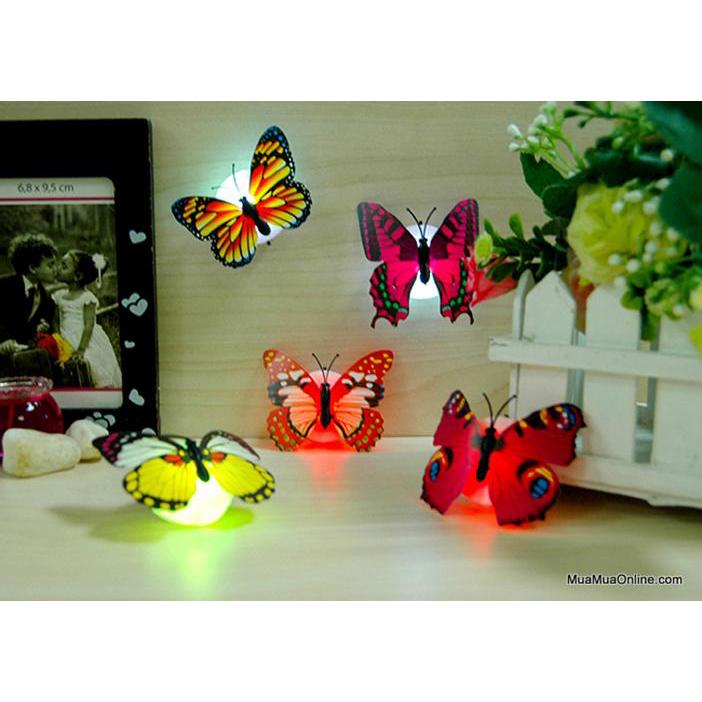 Set 5 đèn led dán tường hình con bướm cao cấp