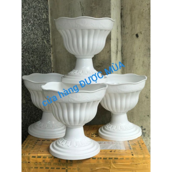 chậu ly nhựa có chân đế dáng cao đường kính 26cm.