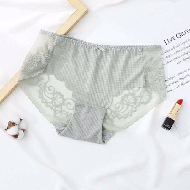 COMBO 5 Quần cotton phối ren Cao Cấp MS2218