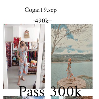Đầm hoa Cogai19.sep