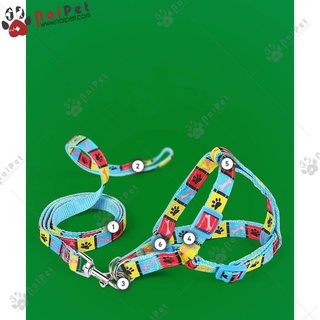 Dây Dắt Kèm Yếm Ngực Nhiều Màu Sắc DDYN010 Cho Thú Cưng