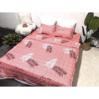 Trọn Bộ Chăn Ga Coton Poly 5 Món