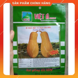 Hạt giống bí ngô mật việt á 10g
