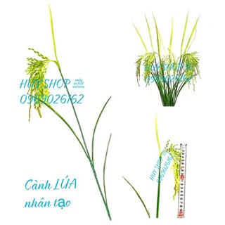 COMBO 10 Cành Hoa LÚA, Bông LÚA nhân tạo trang trí nhà cửa