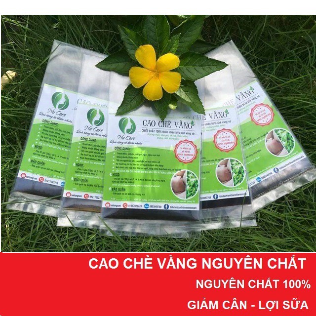 Cao chè vằng Quảng Trị