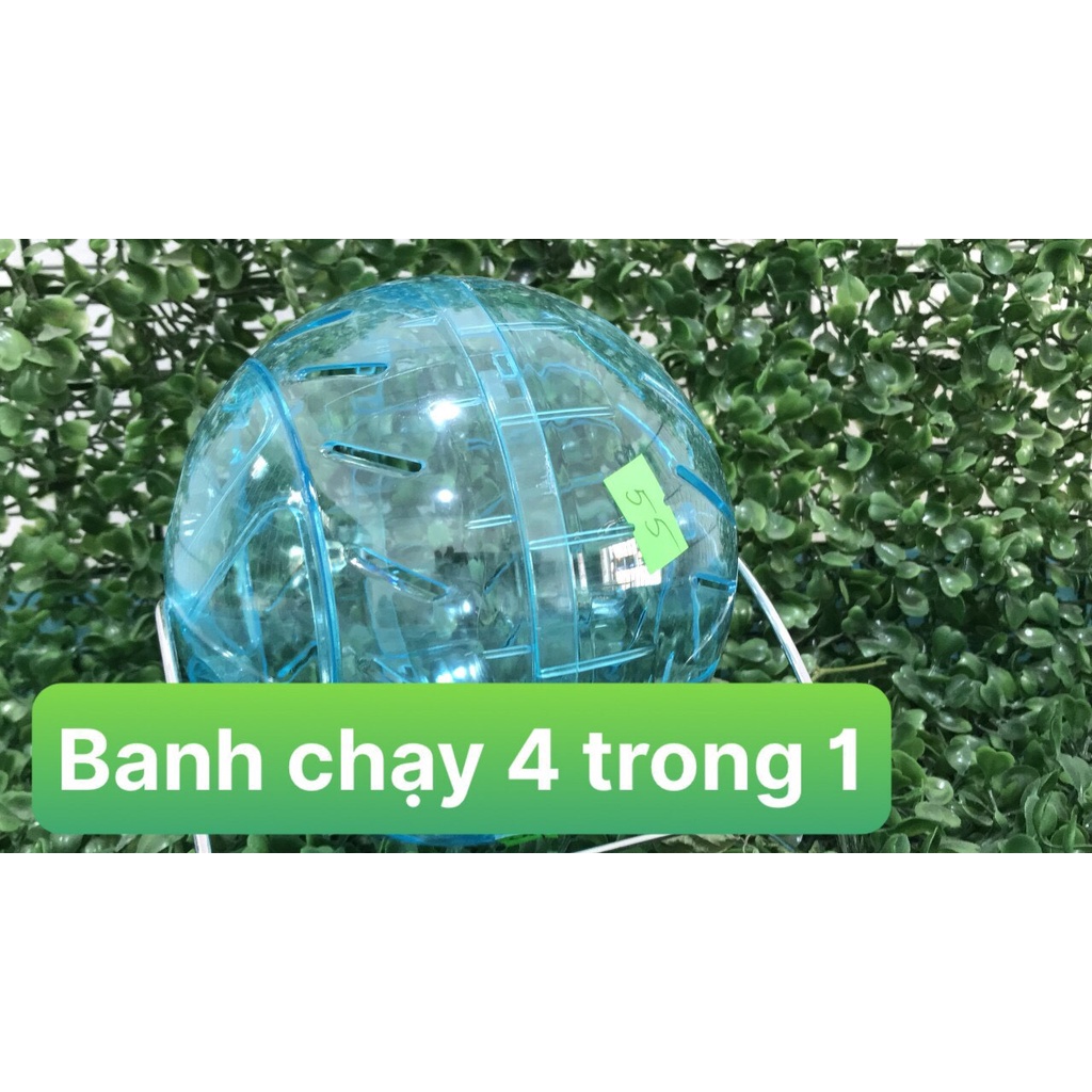Banh Chạy Nhựa Lăn Tự Do Trong Nhà Cho Hamster