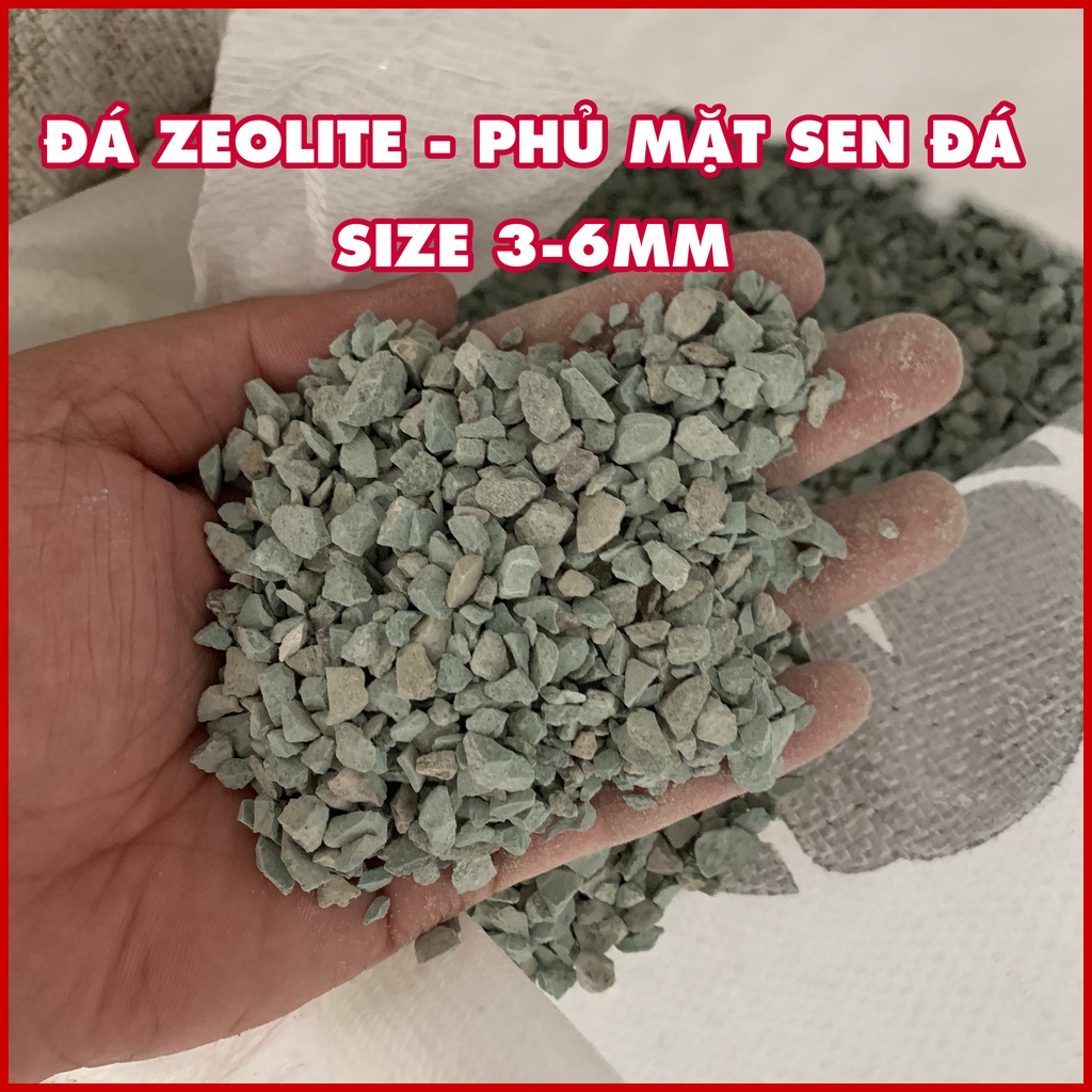 Đá Zeolite stone - phủ mặt sen đá.
