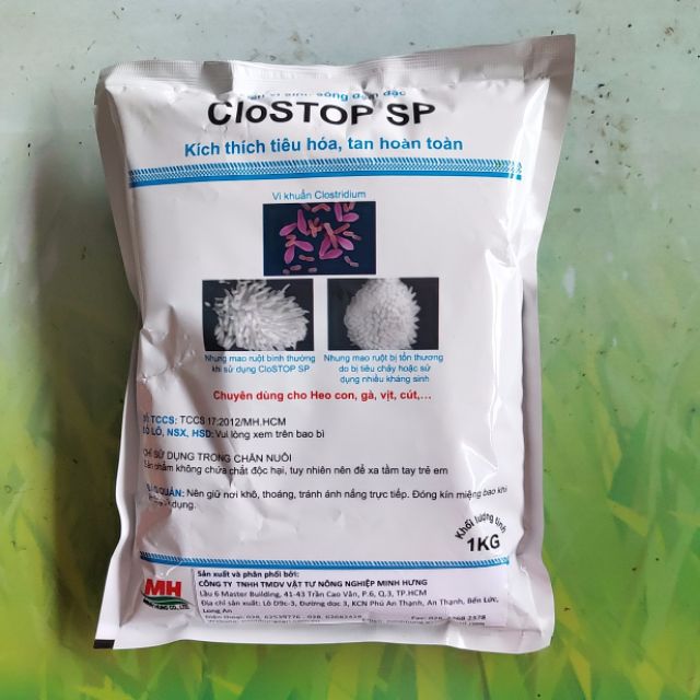 100g (hàng san lẻ) Men Vi Sinh Sống Đậm Đặc Chống Sình bụng, phân lỏng chó mèo gia súc gia cầm CloSTOP SP