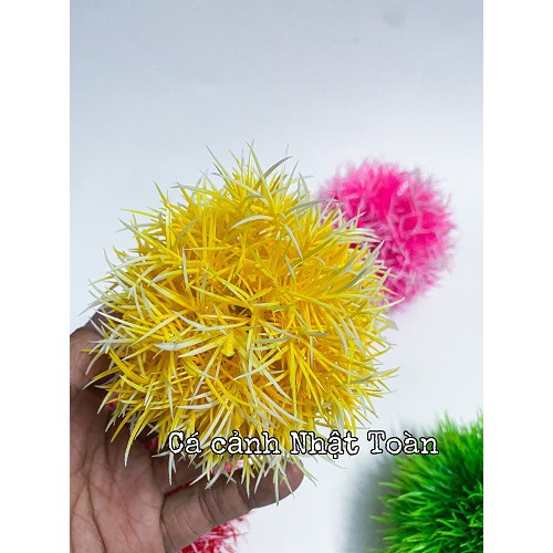 RONG CẦU ĐỦ MÀU TRANG TRÍ BỂ CÁ CAO 7CM