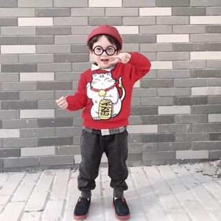 Combo sỉ áo mèo