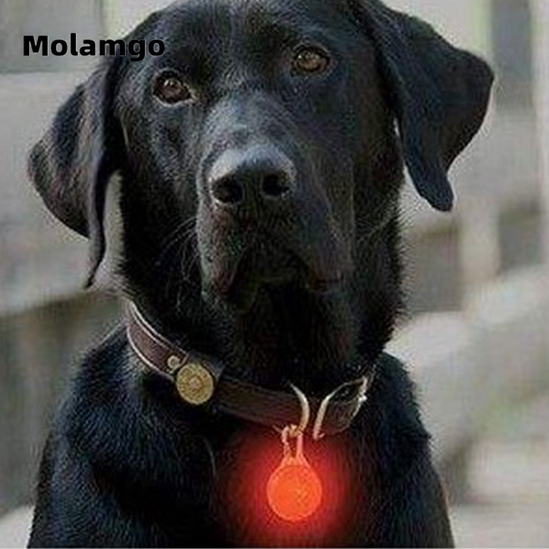 MOLAMGO  Thẻ Tròn Gắn Đèn Led Cho Thú Cưng