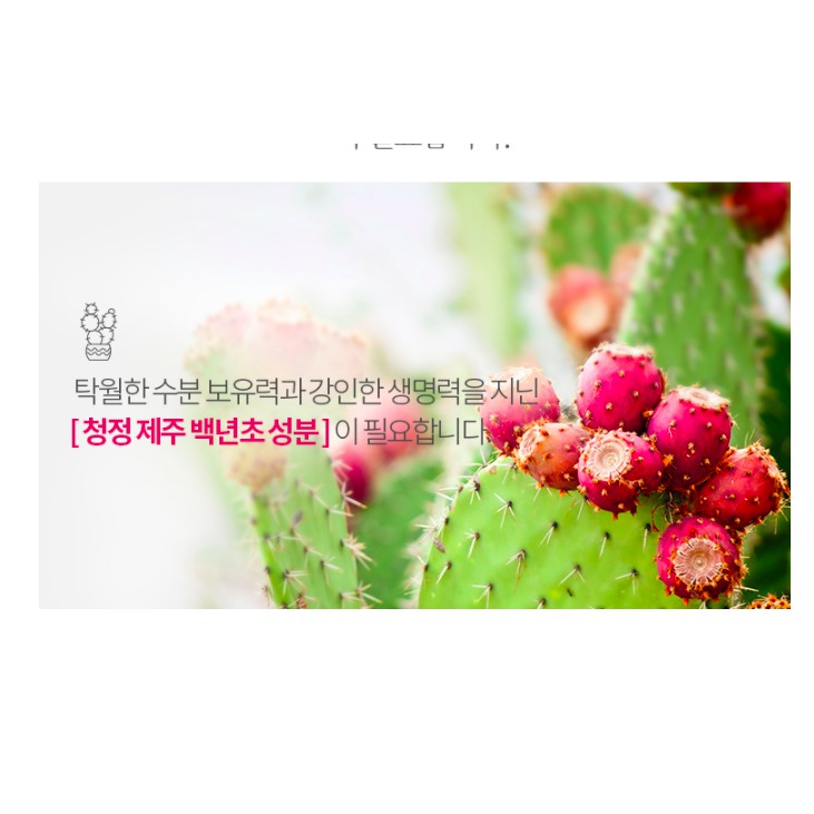 MBC Kem nền giúp da mịn và tự nhiên Apieu Soo Boo Ji Foundation SPF30 PA++ | BigBuy360 - bigbuy360.vn