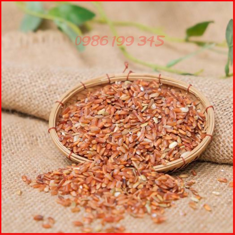 Gạo Lứt Đỏ Quy Nguyên Thầy Tuệ Hải Chùa Long Hương Hút Chân Không túi 5kg