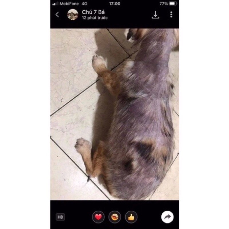 slide