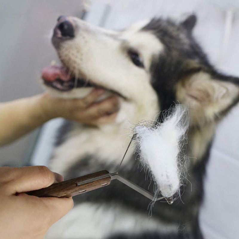 HamshMoc Lược chải lông thú cưng tùy chọn kiểu dáng