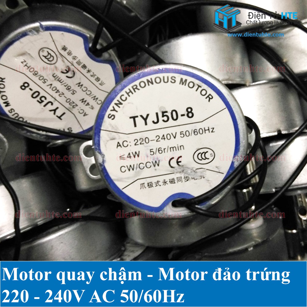 Motor quay chậm - Motor đảo trứng 220V 4W [HTE Quy Nhơn CN2]