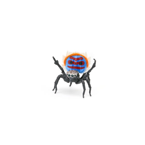 MÔ HÌNH TRỨNG GASHAPON Peacock spider