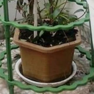 Đĩa tròn lót chậu, khay đường kính cả đĩa 30 cm, lòng đĩa 25 cm