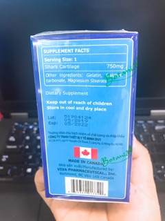 ✅[CHÍNH HÃNG] SỤN VI CÁ MẬP CANADA