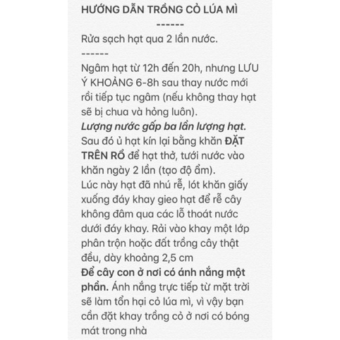 Hạt lúa mì  cho chim vẹt , sóc , hamster 500g.