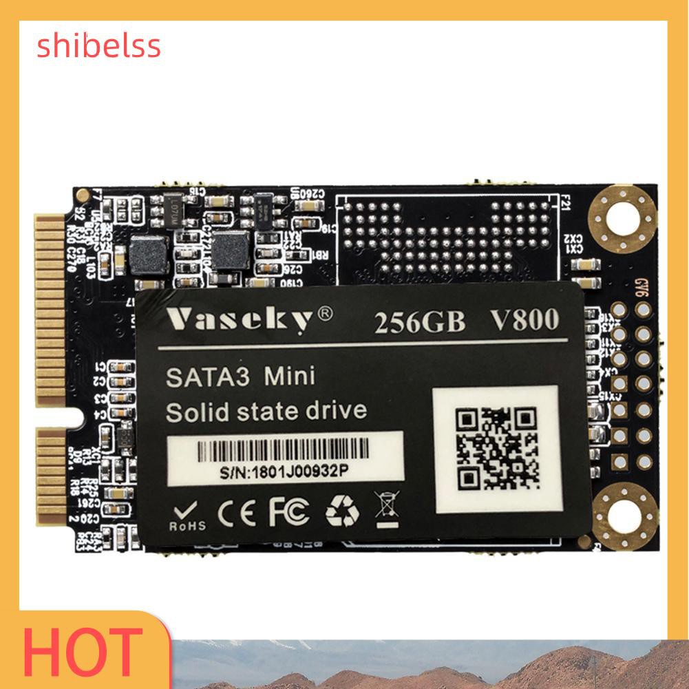 Ổ Cứng Ssd Shibelss Vaseky Mini Msata 3 1.8 Inch | BigBuy360 - bigbuy360.vn