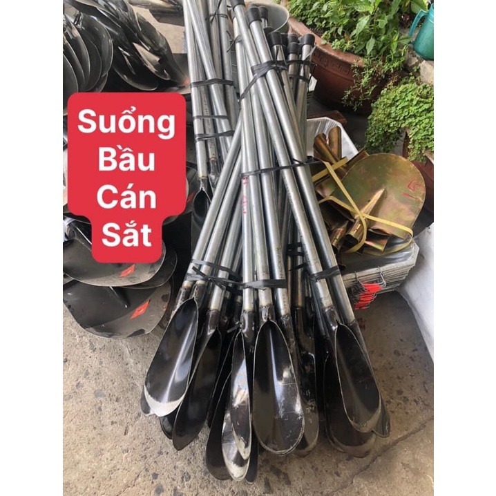 Suổng cán sắt bứng bầu cây