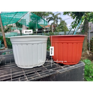 Combo 10 Chậu nhựa 23x16cm trồng sen đá, cây giống, trồng hoa các loại
