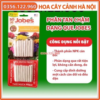 [Rẻ vô địch] Phân sâu tan chậm Mỹ Jobes 10-10-4 cho cây cảnh 50 que