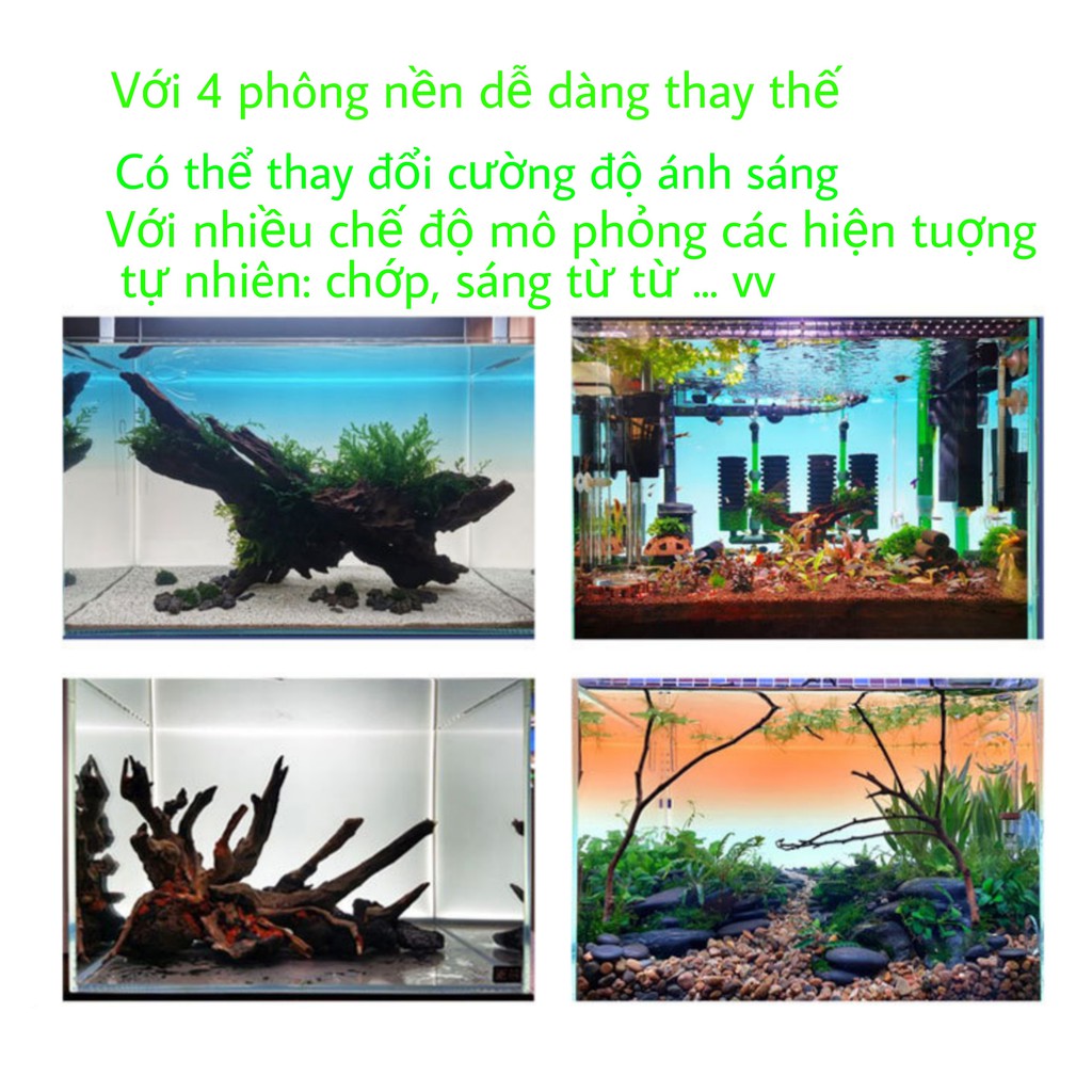 Phông nền Led light SAM Screen  dành cho bể cá cảnh