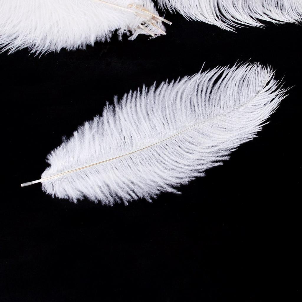 Set 20 Lông Đà Điểu Trắng Tự Nhiên 25-30cm Dùng Để Trang Trí