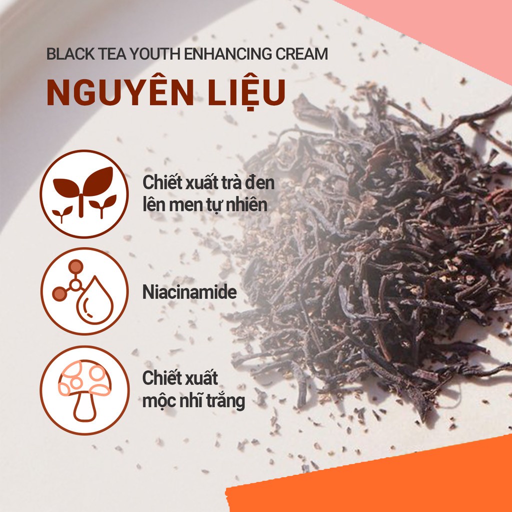 Kem dưỡng phục hồi da và chống lão hóa trà đen innisfree Black Tea Youth Enhancing Cream 45ml