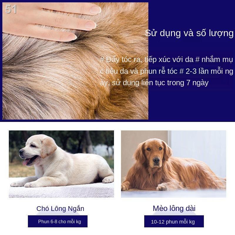 thuốc bọ chét bên ngoài the dog tẩy giun cho mèo veA