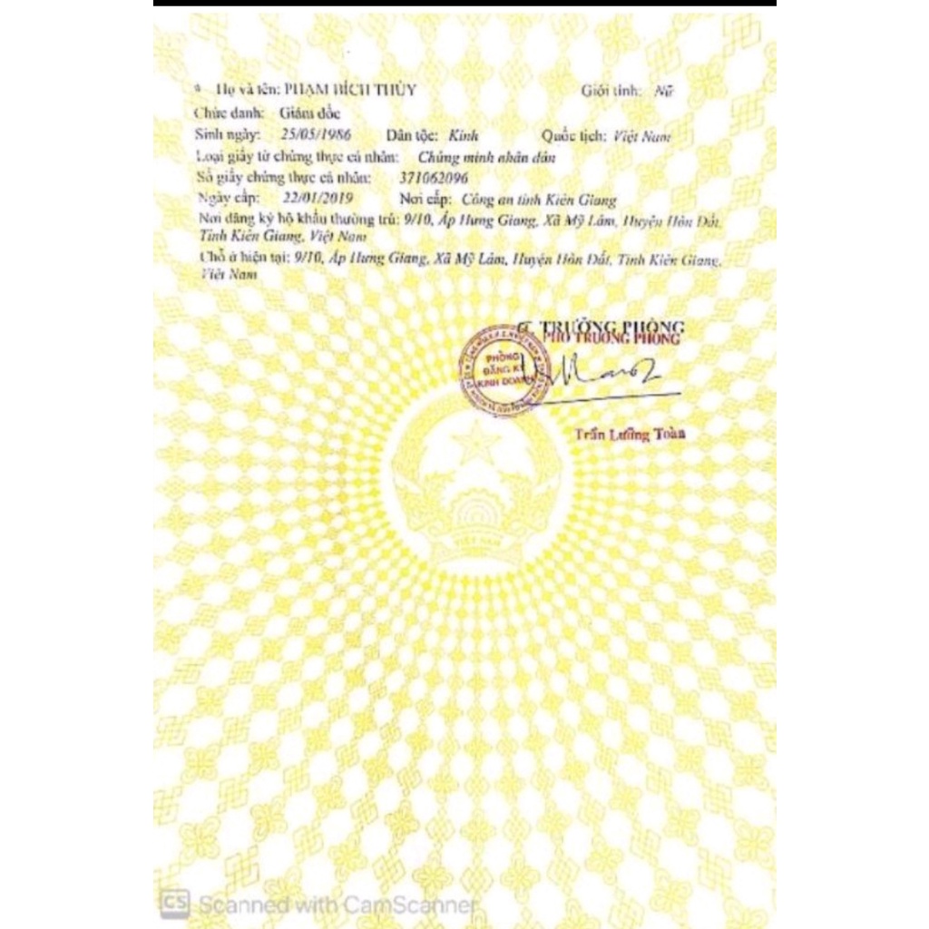 Kem Face Vip Nhân Sâm Giúp Giảm Nám Tàn Nhang Hàng Chính Hãng