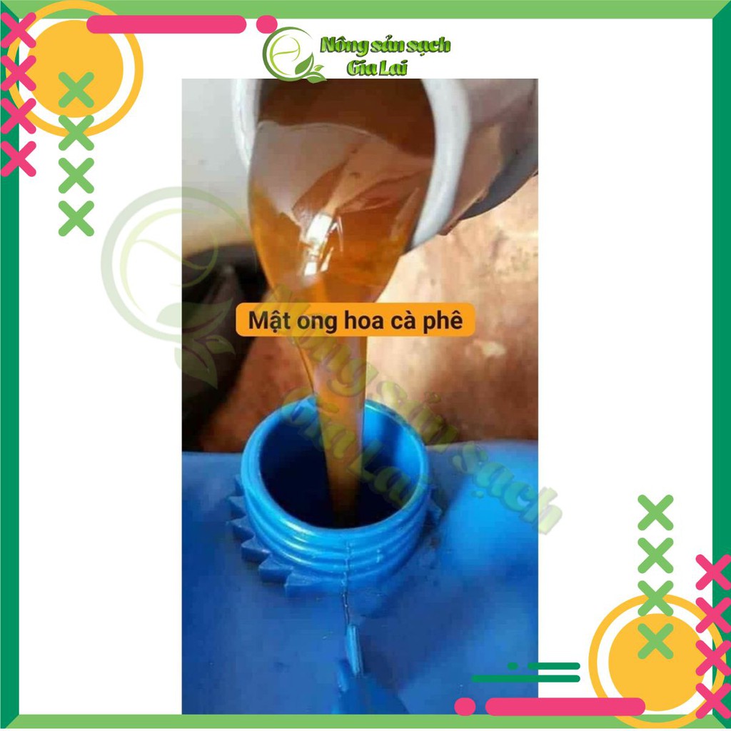 Mật ong hoa cà phê nguyên chất 100% Gia Lai, thơm mát, ngọt thanh, sản phẩm tốt cho sức khỏe | BigBuy360 - bigbuy360.vn