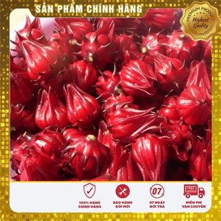 COMBO 10 gói hạt giống Atiso đỏ TẶNG 1 phân bón