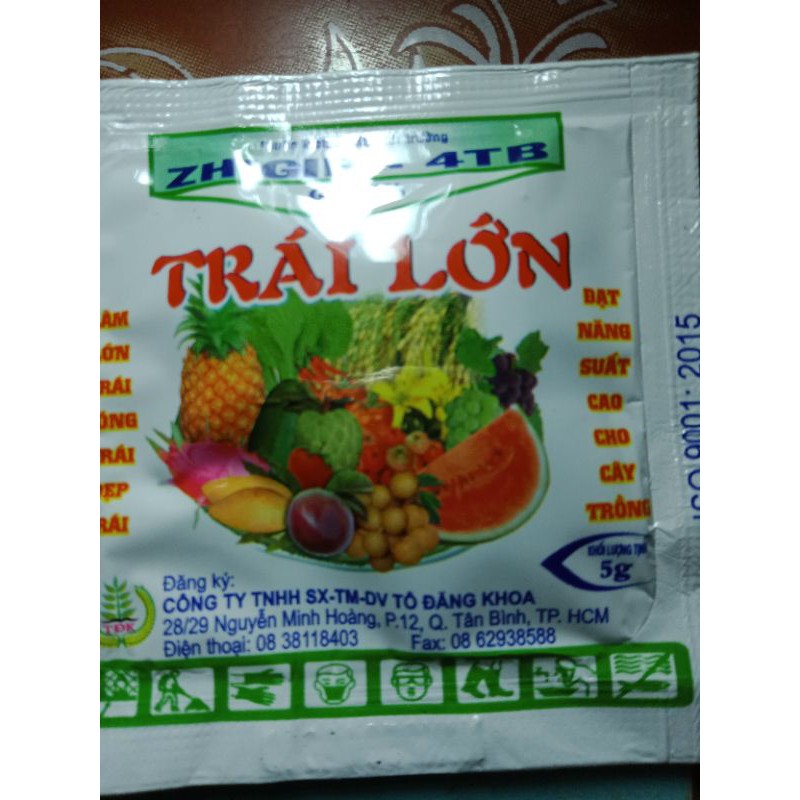 siêu lớn trái dạng sủi