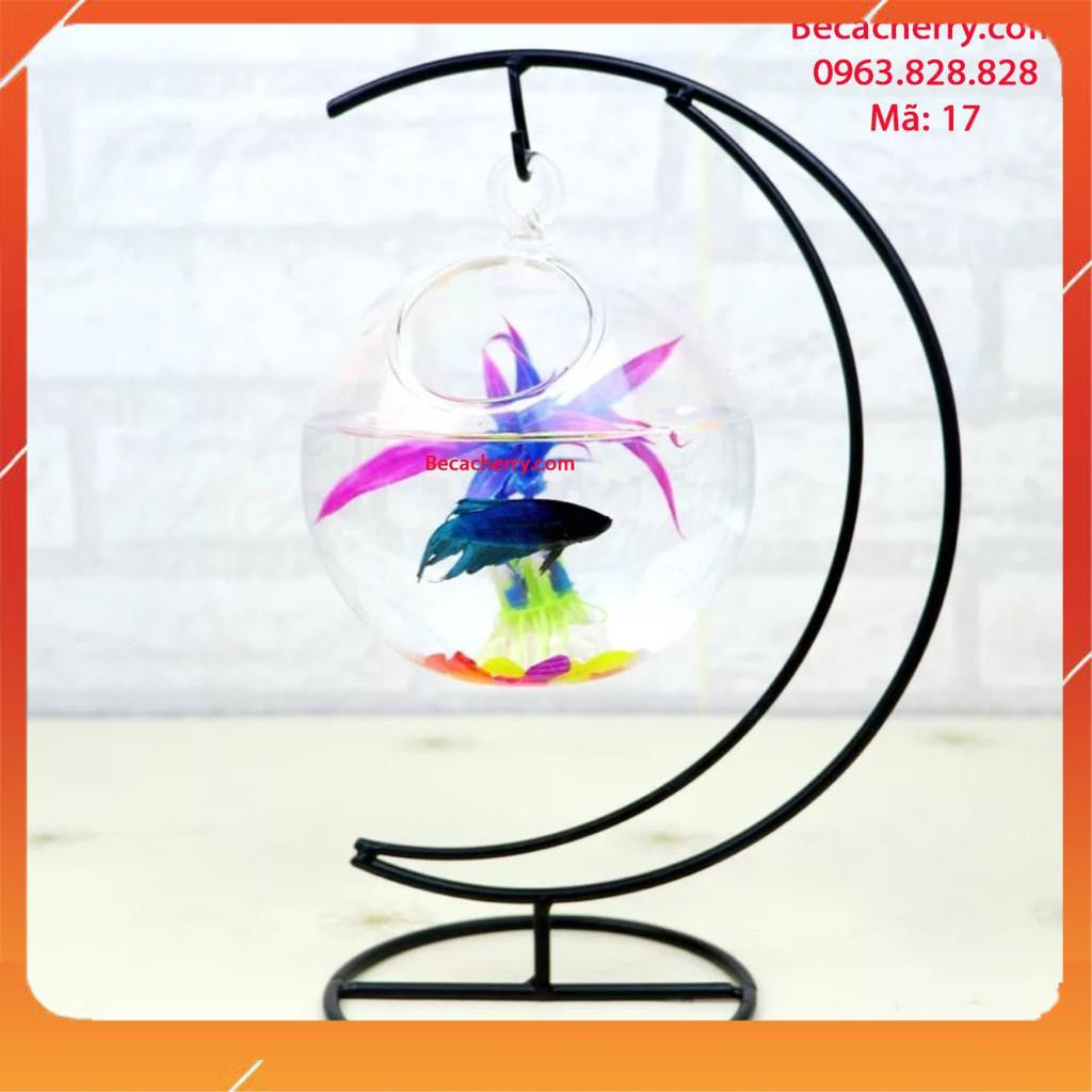 Bể cá mini cung trăng 17 ( tặng kèm phụ kiện trang trí ) | BigBuy360 - bigbuy360.vn