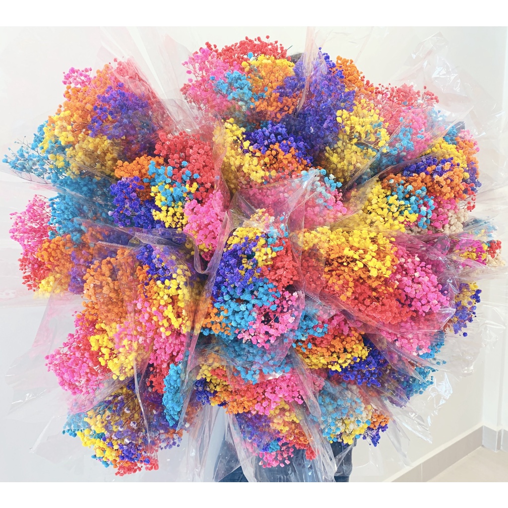 Bó 120gr hoa baby khô decor trang trí nhà cửa, hoa khô trang trí nội thất siêu xinh