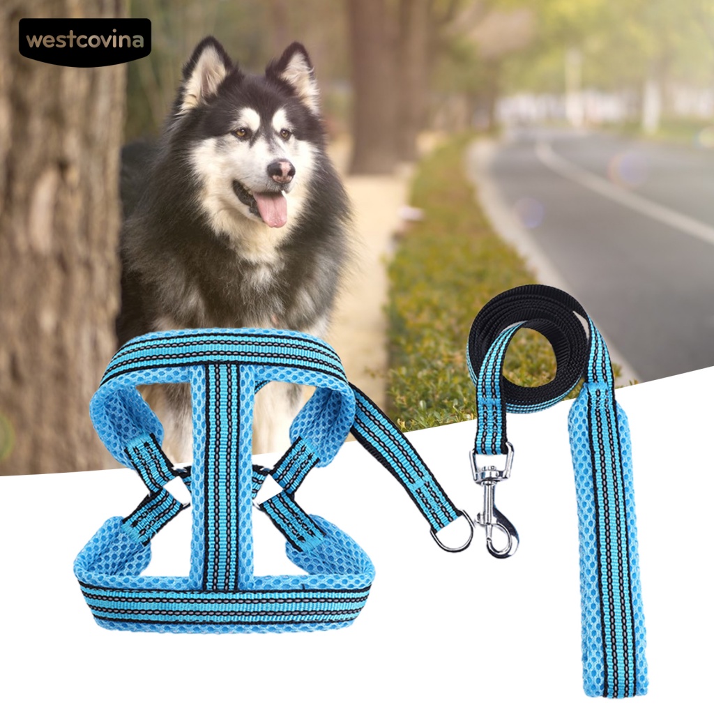 Dây Dắt Chó Phản Quang Thoáng Khí Chống Rách Màu Sáng