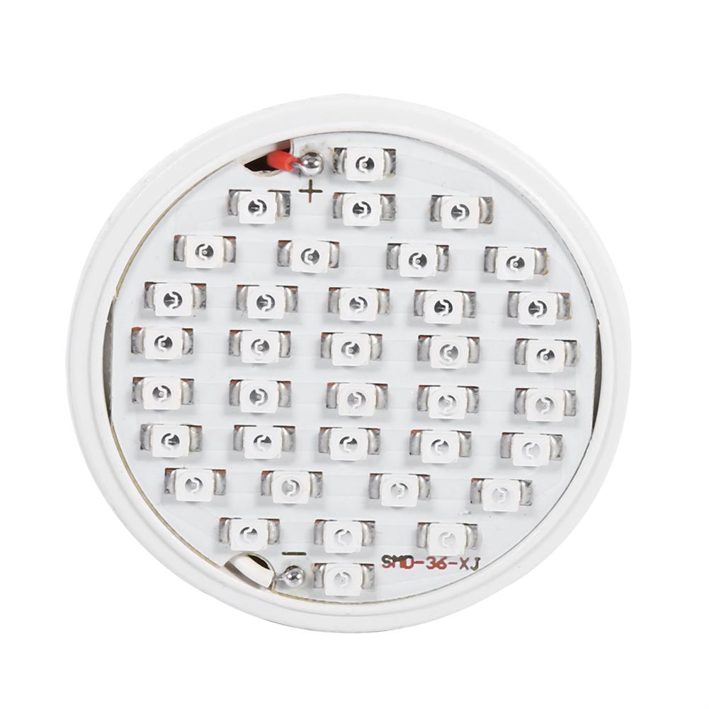 Đèn LED quang phổ toàn phần hỗ trợ trồng cây | BigBuy360 - bigbuy360.vn