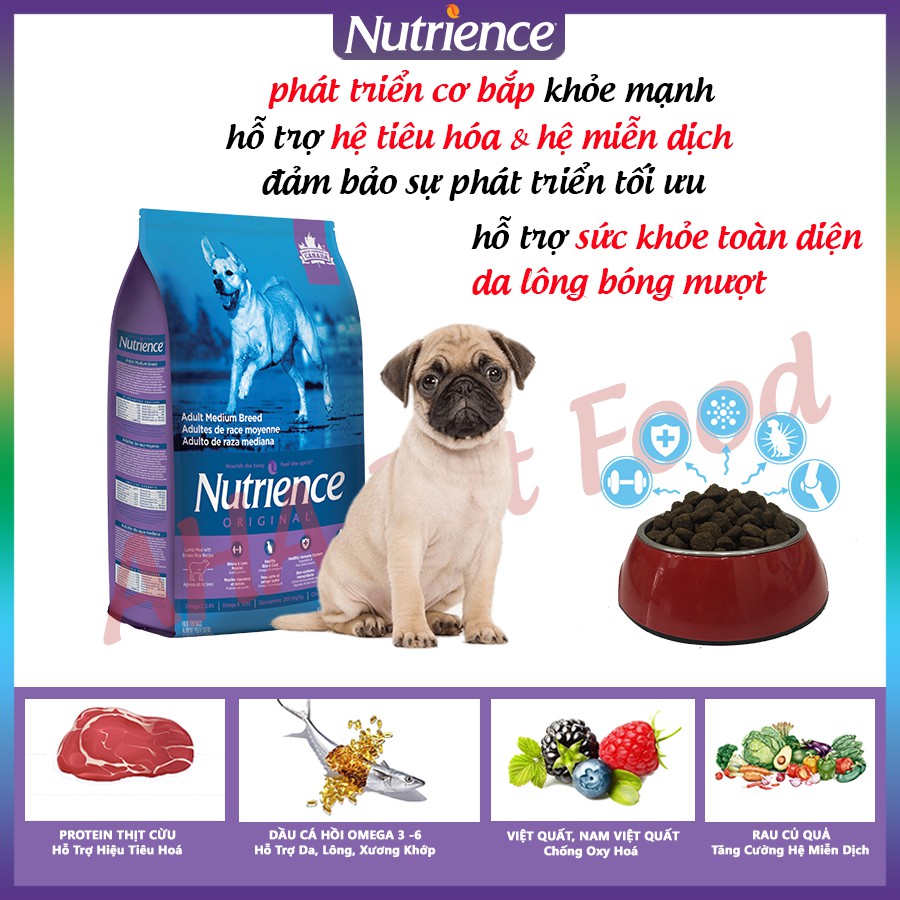 [Nhập Khẩu Canada] Thức Ăn Cho Chó Pug Nutrience Original Bao 11,5kg Phát Triển Cơ Bắp - Thịt Cừu, Rau Củ, Trái Cây