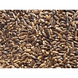 hạt kế sữa cho chim gói 100g